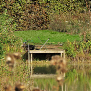 Streetwize Walking Stick Seat – Green